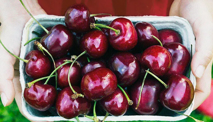 health benefits of cherry,cherry,Health tips,fitness tips