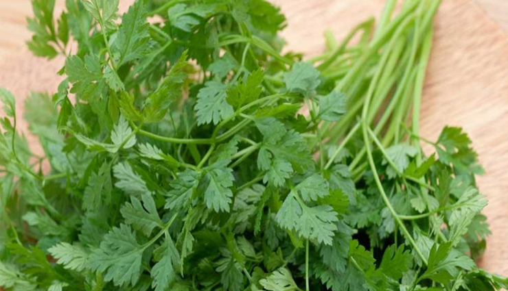 9 Health Benefits Of Chervil You Need To Know About