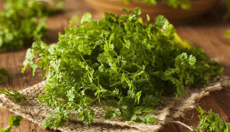 8 Proven Health Benefits of Chervil