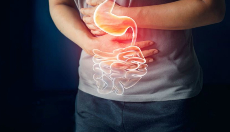 benefits of eating chestnuts,health benefits of chestnuts,Health tips,fitness tips