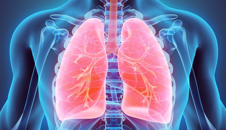 benefits of eating chestnuts,health benefits of chestnuts,Health tips,fitness tips