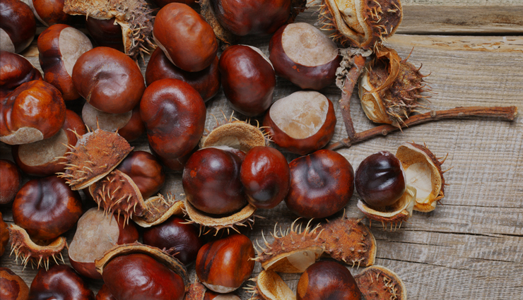 11 Reasons Why Chestnut is Good For Health - lifeberrys.com