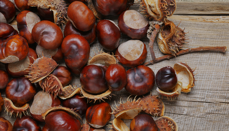 11 Reasons Why Chestnut is Good For Health