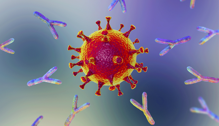 chestnuts,health benefits of chestnuts,Health tips,fitness tips