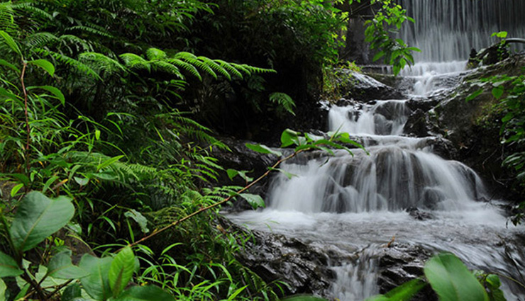 केरल में स्थित वायनाड की खूबसूरती का हर कोई दीवाना, हनीमून के लिए बेस्ट डेस्टिनेशन natural wonders in wayanad,wayanad hill stations and resorts,wayanad travel guide,popular destinations in kerala,wayanad wildlife sanctuaries,wayanad adventure tourism,charming places in wayanad,family-friendly attractions in wayanad,wayanad historical landmarks,cultural experiences in kerala,ecotourism in wayanad,wayanad offbeat destinations,best viewpoints in wayanad,wayanad waterfalls and lakes,wayanad trekking trails,best places to visit in wayanad,wayanad tourist attractions,kerala travel destinations,scenic spots in wayanad,must-visit places in kerala,wayanad hill stations,kerala nature tourism,historical sites in wayanad