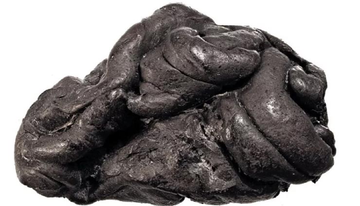 यहां से मिला 5700 साल पुराना 'च्युइंग गम', शोधकर्ताओं ने डीएनए से बना डाली खाने वाले की शक्ल