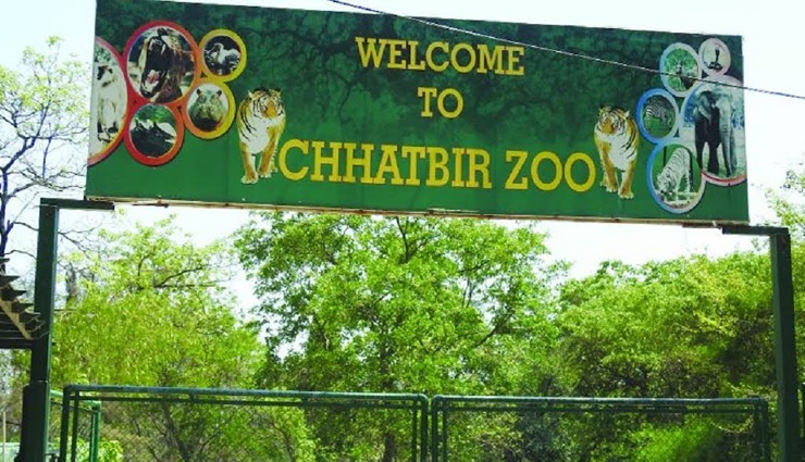 zoo,famous zoo in india,list of famous zoo in india,travel,holidays in india