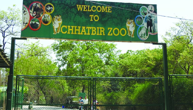 chandigarh tourist attractions,rock garden chandigarh,sukhna lake chandigarh,zakir hussain rose garden chandigarh,chhatbir zoo chandigarh,government museum chandigarh,international dolls museum chandigarh,things to do in chandigarh,places to visit in chandigarh,chandigarh sightseeing spots,chandigarh historical sites,tourist spots in chandigarh,chandigarh landmarks,chandigarh museums,chandigarh attractions guide