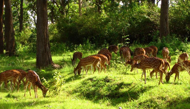 chhattisgarh,offbeat places to visit in chhattisgarh,places to visit in chhattisgarh,tourist attraction in chhattisgarh,barnawapara wildlife sanctuary,raipur,mm fun city amusement park,dantewada,chitrakote waterfalls,mainpat