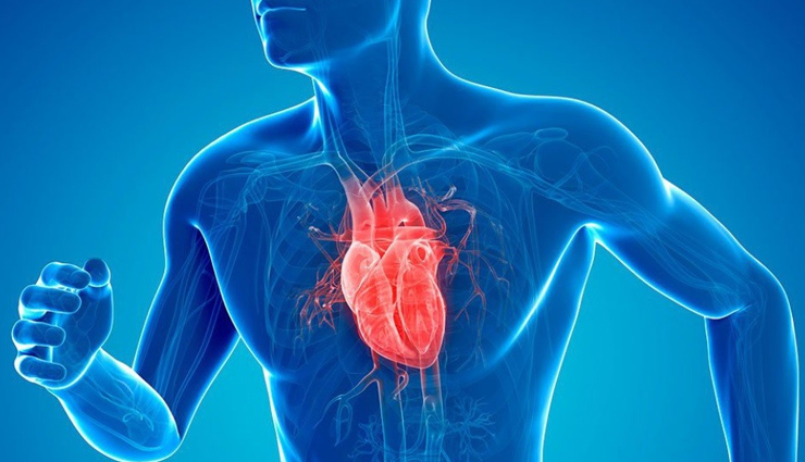 health benefits of chia seeds,chia seeds,Health tips,fitness tips