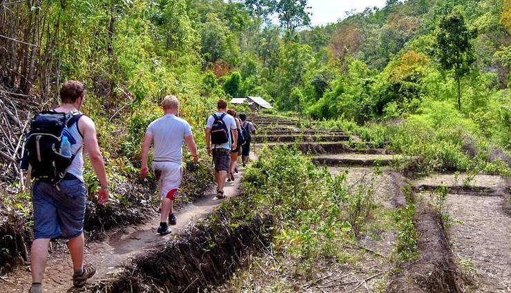 trekking in thailand,best trekking spots in thailand,hiking adventures in thailand,trekking destinations in thailand,thailand trekking trails,mountain trekking in thailand,jungle treks in thailand,trekking experiences in thailand,thai hiking trails,outdoor adventures in thailand