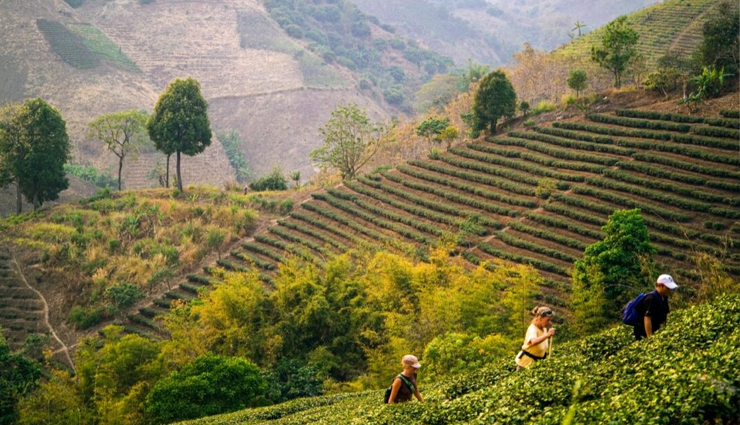 trekking in thailand,best trekking spots in thailand,hiking adventures in thailand,trekking destinations in thailand,thailand trekking trails,mountain trekking in thailand,jungle treks in thailand,trekking experiences in thailand,thai hiking trails,outdoor adventures in thailand