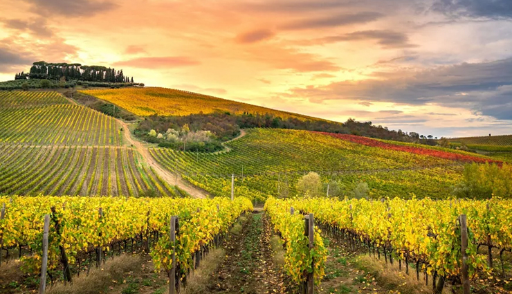 italy tourist attractions,top attractions in italy,must-see places in italy,popular tourist sites in italy,iconic landmarks in italy,famous attractions of italy,sightseeing in italy,italy must-visit destinations,historic sites in italy,cultural attractions of italy,natural wonders in italy,landmarks and monuments in italy,tourist hotspots of italy,hidden gems in italy,unforgettable experiences in italy