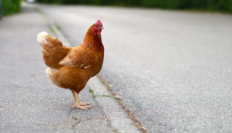 strange laws,weird laws,countries with strange laws,travel