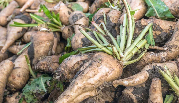 महिलाओं में बढ़ती जा रही हैं बच्चेदानी में सूजन की समस्या, इन घरेलू उपाय से करें इसे दूर natural remedies for bacchedani me sujan (swelling),home treatments for swollen bacchedani (uterus),effective ways to reduce bacchedani sujan at home,diy solutions for treating bacchedani me sujan,safe and natural methods for swollen bacchedani treatment,herbal remedies for bacchedani sujan ka upchar,home-based solutions for uterine swelling relief,tips to alleviate bacchedani me sujan using home remedies,best home remedies for bacchedani swelling treatment,non-toxic ways to treat bacchedani me sujan at home