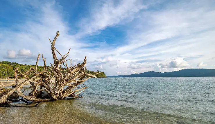 andaman tourist places,best places to visit in andaman,andaman travel guide,andaman sightseeing,andaman beaches,andaman honeymoon destinations,adventure in andaman,andaman wildlife sanctuaries,things to do in andaman,andaman holiday packages