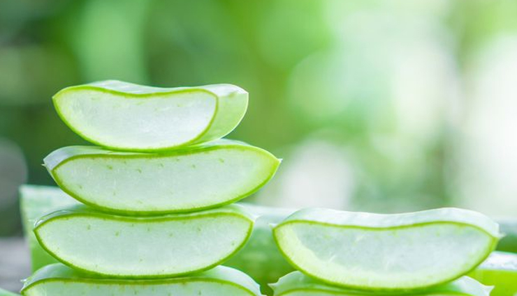 chiggers bite,home remedies for chiggers bite,Health tips,fitness tips