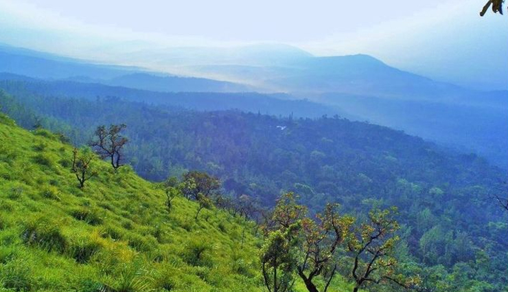 chikmagalur,things to do in chikmagalur,places to visit in chikmagalur,hebbe falls,mullayanagiri coffee estates,sharadamba temple,coffee museum,bhadra wildlife sanctuary