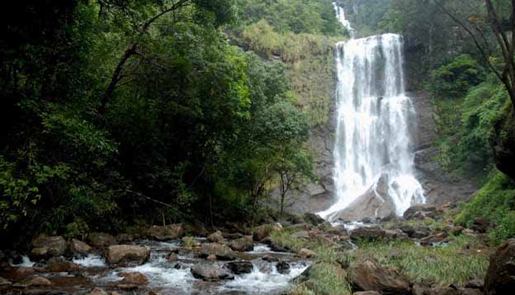 chikmagalur tourism,attractions in chikmagalur,places of interest in chikmagalur,tourist destinations in chikmagalur,chikmagalur sightseeing,mulayanagiri trek,baba budangiri peaks,seethalayanagiri hill,kemmangundi hill station,bhadra wildlife sanctuary,hebbe falls chikmagalur,chikmagalur hill stations,chikmagalur coffee plantations,chikmagalur temples,chikmagalur nature trails,chikmagalur adventure activities,chikmagalur waterfalls,chikmagalur wildlife sanctuaries,chikmagalur historical sites,chikmagalur scenic spots