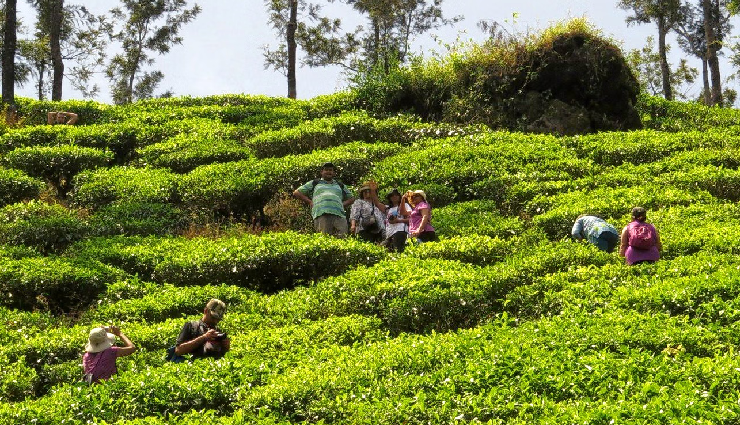 western ghats hill stations,breathtaking hill getaways,scenic beauty of western ghats,must-visit western ghats destinations,charming hill retreats in the ghats,western ghats travel experiences,picturesque mountain escapes,best views in western ghats,unexplored hill stations ghats,western ghats hillside beauty