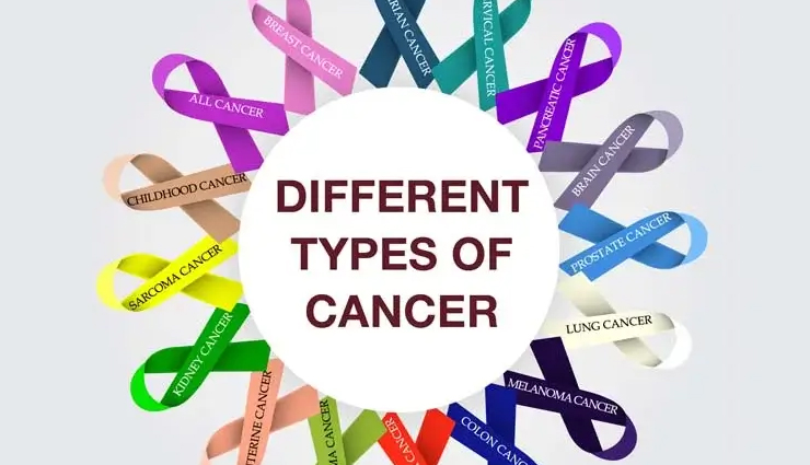 chikoo,health benefits of  chikoo,Health tips,fitness tips