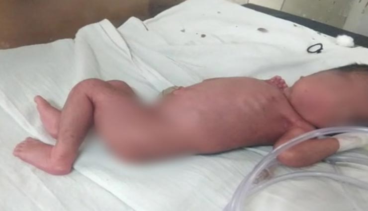 बीकानेर : फिर शर्मसार हुई मानवता, पैदा होते ही अस्पताल के सामने फेंक गए नवजात, कांट रही थी चींटिया