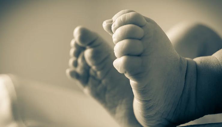 पंजाब : इंसानियत को शर्मसार करने वाली घटना, रेलवे ट्रेक पर नवजात को छोड़ा तो कुत्तों ने नोंचते हुए मार डाला