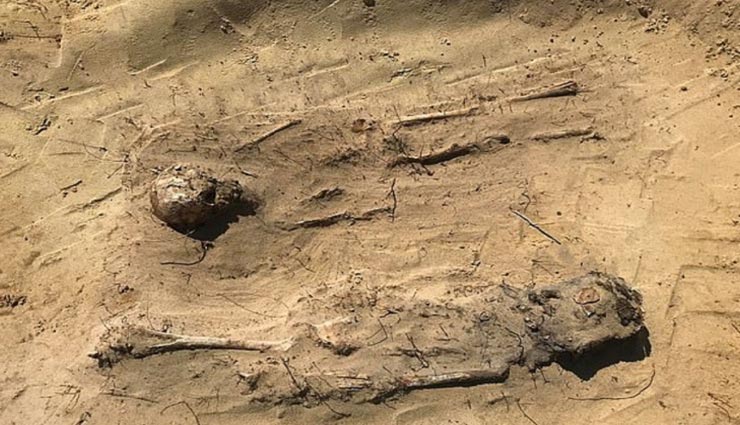 weird news,weird incident,poland news,buried coins mouths