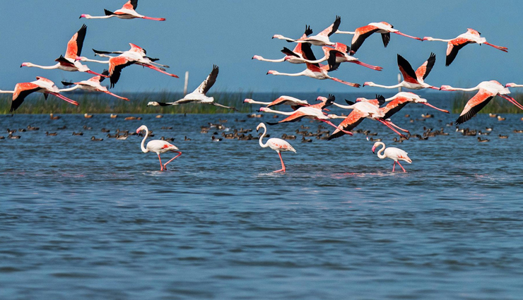 पार्टनर संग घूमने जाने का मन हैं तो बनाए देश की इन 10 खूबसूरत झीलों का प्लान
romantic lakeside destinations,partner travel plan ideas,beautiful lakes for couples,romantic getaways by lakes,lakeside travel destinations for couples,lakeside retreats for partners,partner travel recommendations for lakes,romantic lake trips for couples,couples travel plan for lakes,scenic lakeside destinations for partners,couples lake travel guide,romantic lakeside vacations,lakeside serenity for couples,partner getaway by the lake,scenic lakeside retreats,partner travel adventures by lakes,couple lake exploration,lakeside romance travel ideas,idyllic lakeside vacations for couples,lakeside escapades for partners