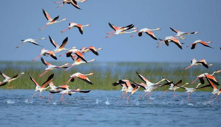 orissa,attractions in orissa,orissa tourism,tourist places in orissa,holidays,travel,travel tips