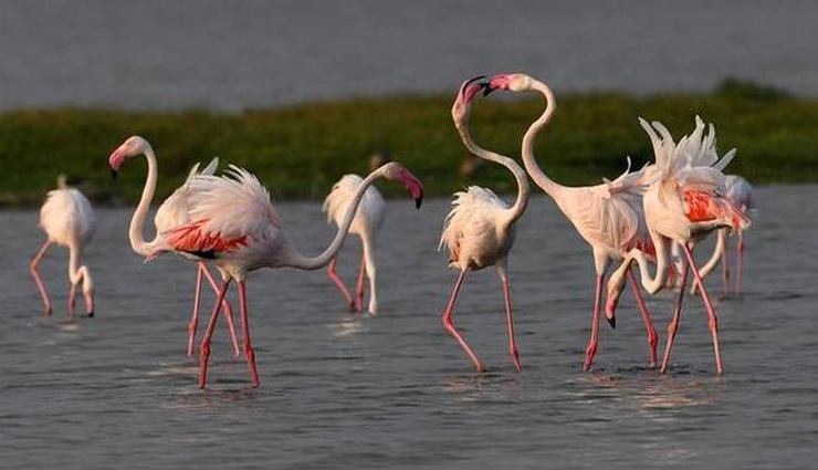 what are the top places to visit in odisha,what is very famous in odisha,how many tourist places are there in odisha,which places are open for tourism in odisha,which is the beautiful city of odisha,what is famous food in orissa,what is the best time to visit odisha,is odisha cold or hot,travel,holidays,orissa travels