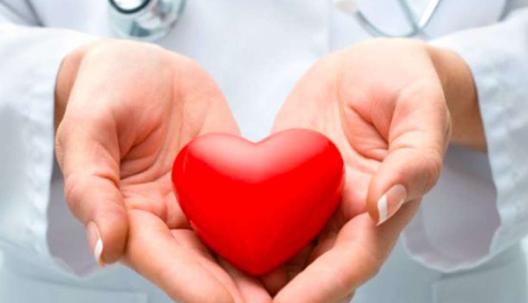 green chillies are very useful to add tempering to the food,know the benefits of eating it,Health,healthy living