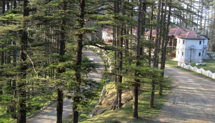 chakrata attractions,must-visit places,chakrata travel guide,chakrata sightseeing,chakrata tourism,top destinations in chakrata,places to see in chakrata,chakrata hill stations,chakrata points of interest,chakrata landmarks