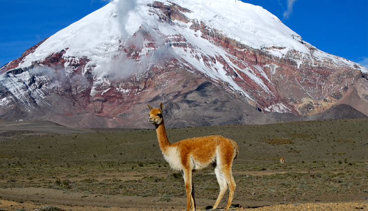 ecuador,tourist spots in ecuador,ecuador travel,holidays in ecuador,travel tips,travel guide