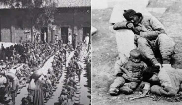 करोड़ों लोगों के मरने की वजह बनी थी टिड्डियाँ, जानें पूरा माजरा weird news,weird incident,china news,locusts in china