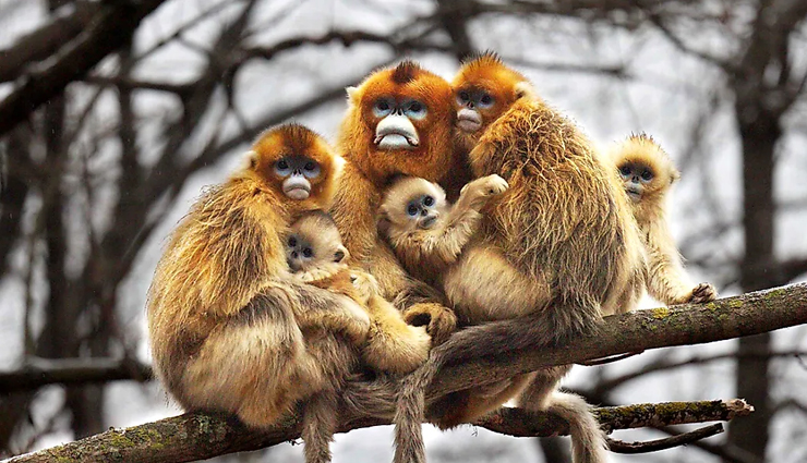 china,places to visit in china,tourist attraction in china