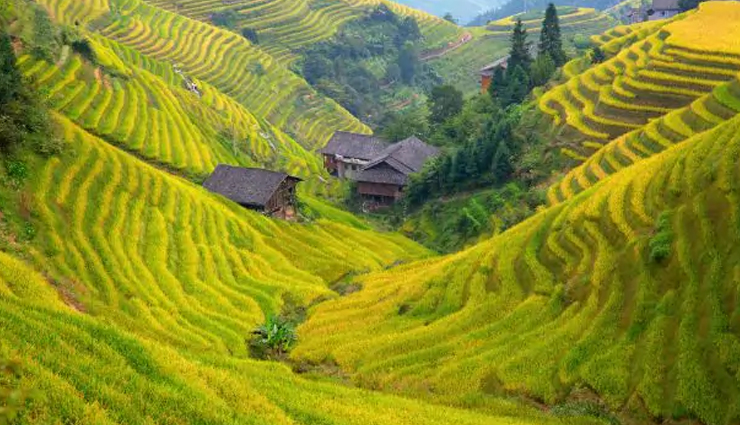 china,places to visit in china,hongcun village,huangshan or the yellow mountains,the potala palace,highest ancient palace,the longji terraces,the hanging monastery