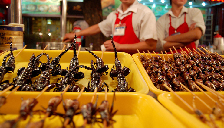 6 Most Weird Foods To Eat in China