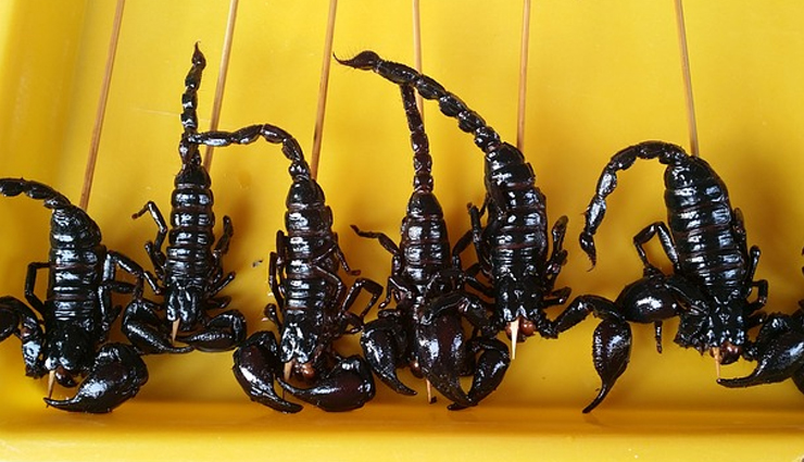 weird foods to eat in china,china,weird food