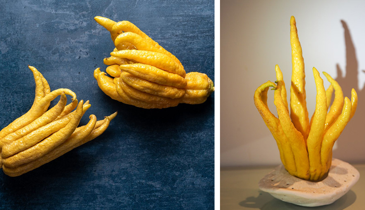 chinese fruits,healthy chinese fruits,Health tips,fitness tips