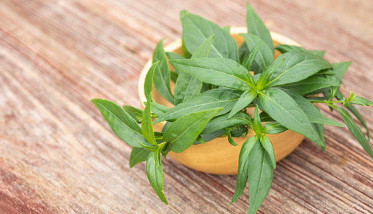 महिलाओं में बढ़ती जा रही हैं बच्चेदानी में सूजन की समस्या, इन घरेलू उपाय से करें इसे दूर natural remedies for bacchedani me sujan (swelling),home treatments for swollen bacchedani (uterus),effective ways to reduce bacchedani sujan at home,diy solutions for treating bacchedani me sujan,safe and natural methods for swollen bacchedani treatment,herbal remedies for bacchedani sujan ka upchar,home-based solutions for uterine swelling relief,tips to alleviate bacchedani me sujan using home remedies,best home remedies for bacchedani swelling treatment,non-toxic ways to treat bacchedani me sujan at home