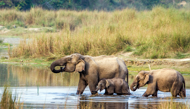 monsoon destinations in nepal,best monsoon places in nepal,nepal monsoon travel,monsoon trekking nepal,monsoon season in nepal,nepal monsoon activities,top monsoon spots nepal,rainy season travel nepal,nepal monsoon adventures,monsoon tourism nepal