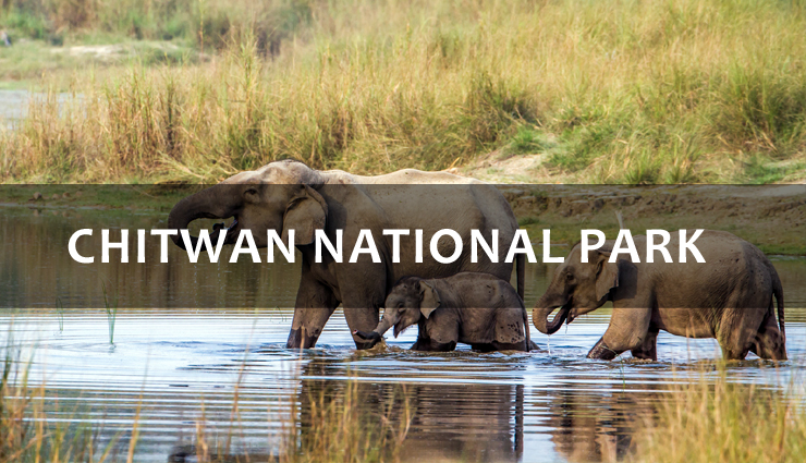 wildlife sanctuaries to visit in nepal,best wildlife sanctuaries to visit in nepal,7 best wildlife sanctuaries to visit in nepal,chitwan national park,parsa wildlife reserve,shukla phanta wildlife reserve,sagarmatha national park,makalu barun national park,annapurna conservation area,kanchenjunga conservation area,nepal travel,holidays,travel guide,travel tips