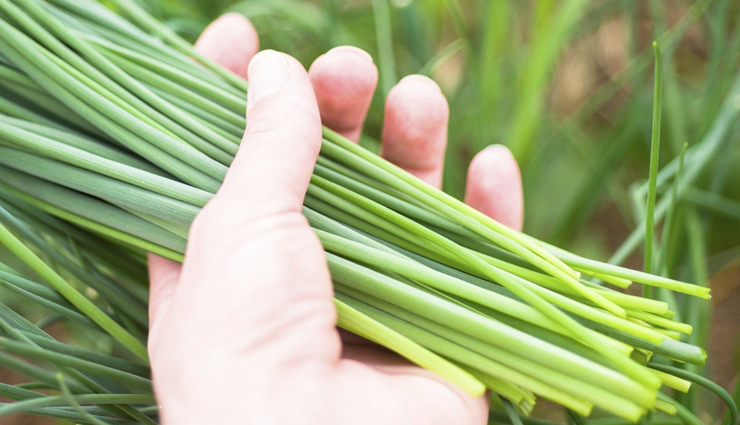 herbs you can grow indoors,household tips,herbs you can grow indoors year round,herbs you can grow indoors in winter,herbs you can grow indoors in water,herb plants you can grow indoors,herbs which can be grown indoors,list of herbs you can grow indoors,herbs that you can grow indoors,what herbs can you grow indoors