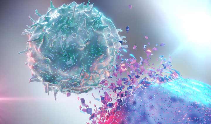 chives,health benefits,nutrition,vitamins,minerals,antioxidants,healthy living,culinary herb,immune support,digestive health,allium schoenoprasum,allium tuberosum,iron,calcium,magnesium,potassium,sulfur,copper,manganese,thiamin,niacin,zinc,phosphorus,riboflavin,north america,europe,asia