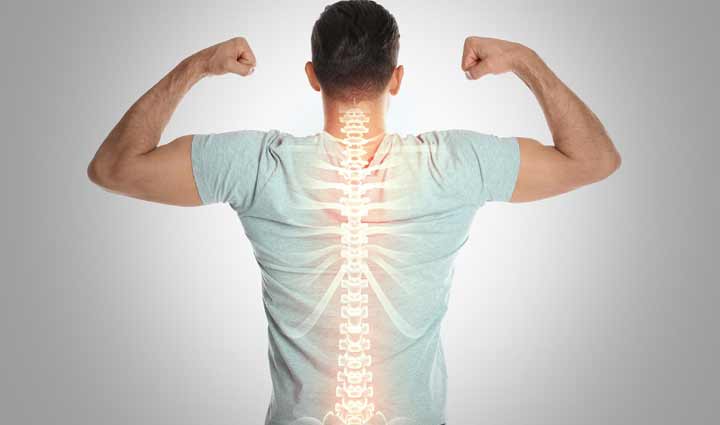 chives,health benefits,nutrition,vitamins,minerals,antioxidants,healthy living,culinary herb,immune support,digestive health,allium schoenoprasum,allium tuberosum,iron,calcium,magnesium,potassium,sulfur,copper,manganese,thiamin,niacin,zinc,phosphorus,riboflavin,north america,europe,asia