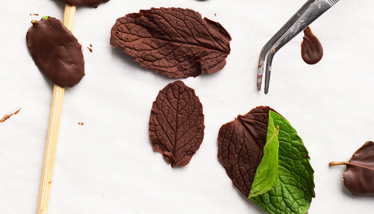 chocolate face scrub,mint face scrub,skincare routine,diy beauty,homemade facial scrub,natural ingredients,organic skincare,exfoliating scrub,nourishing skin,facial cleanser