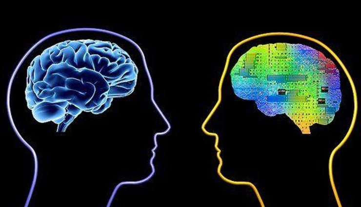 health benefits of eating chokeberries,chokeberries,Health tips,fitness tips