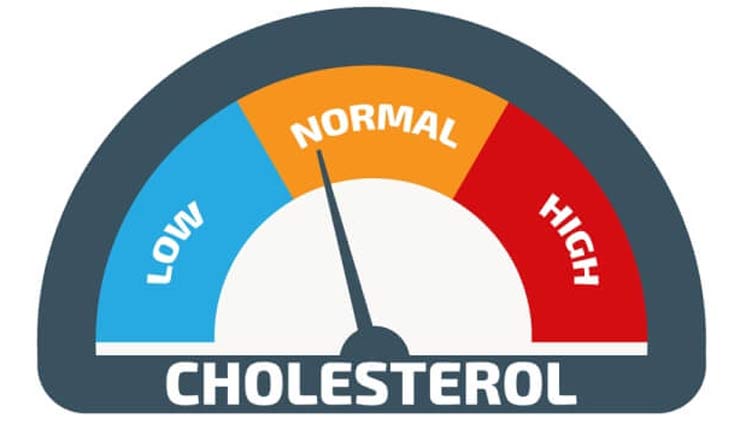 tips to control cholesterol,diabetes,Health tips,healthy living ,कोलेस्ट्रोल, हेल्थ टिप्स 