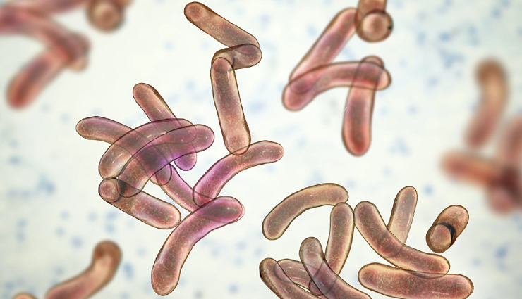 waterborne diseases,waterborne illness prevention,water contamination,safe drinking water,water treatment methods,waterborne pathogens,water quality testing,water filtration systems,water disinfection methods,waterborne illness symptoms and treatment